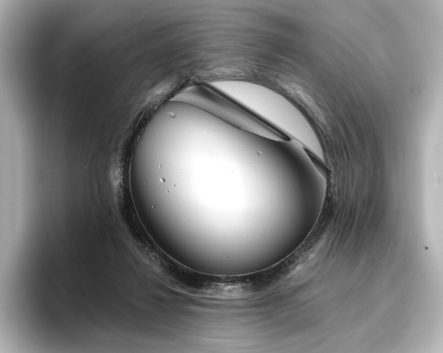 X0000096450260200801241424