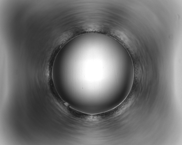 X0000096450261200801241424