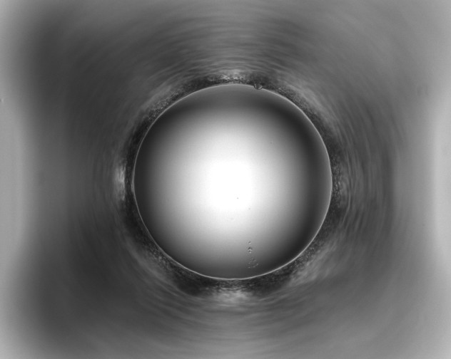 X0000096450262200801241424