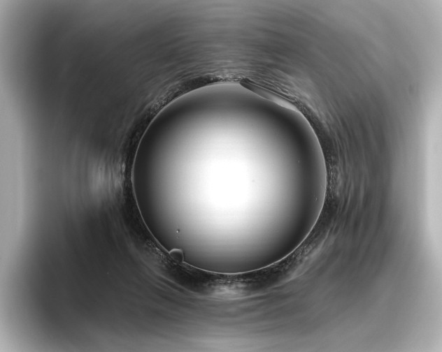 X0000096450263200801241425