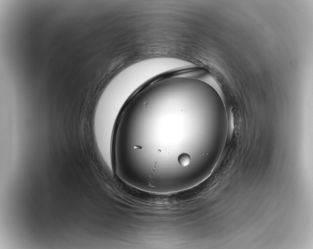 X0000096450264200801241425