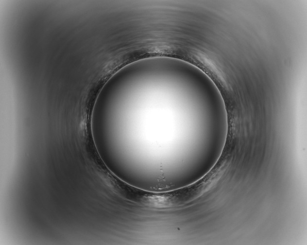 X0000096450265200801241425