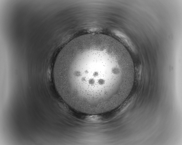 X0000096450269200801241425