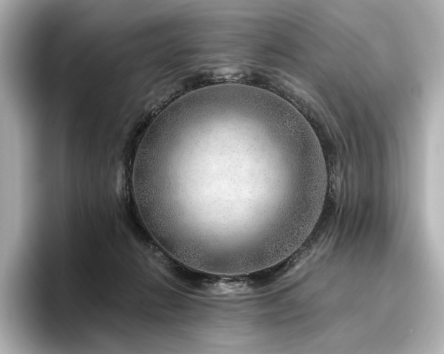 X0000096450270200801241425