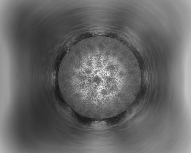 X0000096450271200801241425