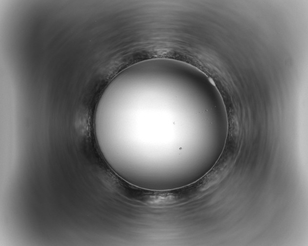 X0000096450274200801241425