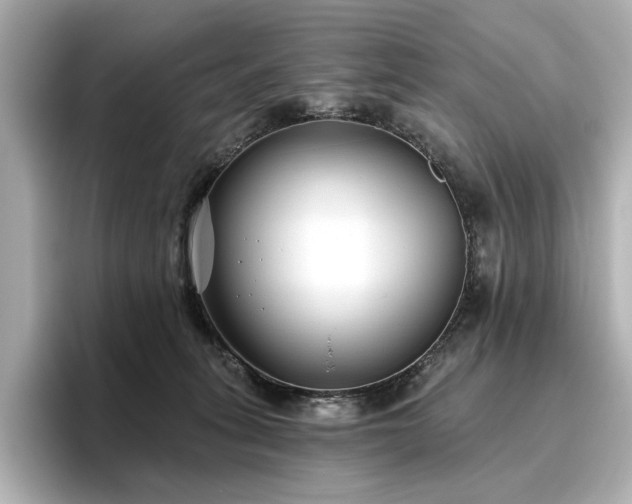 X0000096450275200801241425