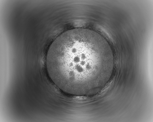 X0000096450277200801241425