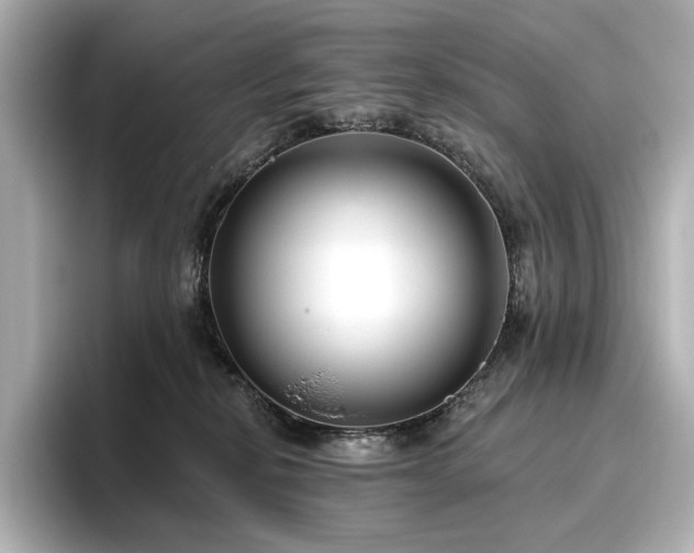 X0000096450278200801241425