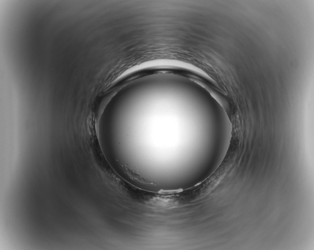 X0000096450280200801241425