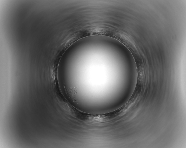 X0000096450282200801241425