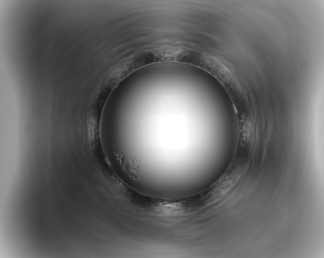 X0000096450283200801241425
