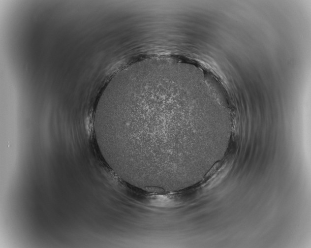 X0000096450285200801241425