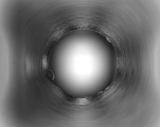 X0000096450287200801241425