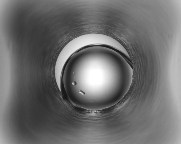 X0000096450288200801241425