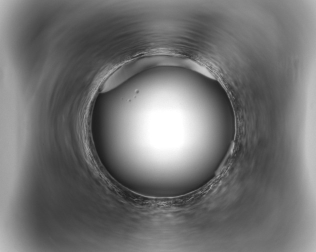 X0000096450289200801241424