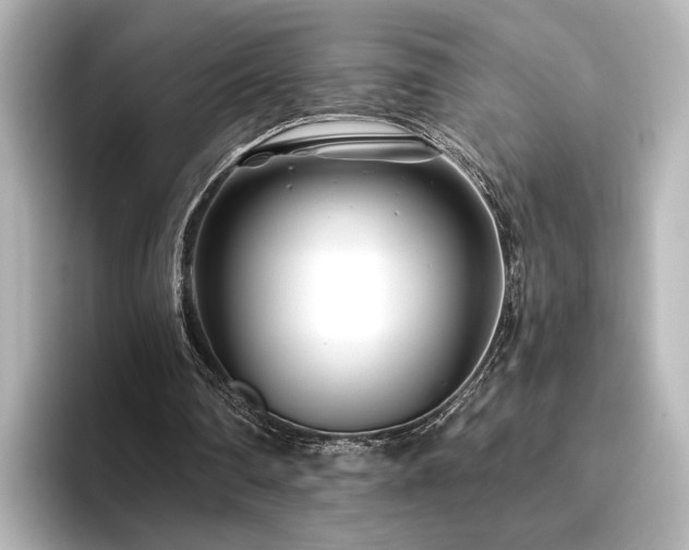 X0000096450290200801241424