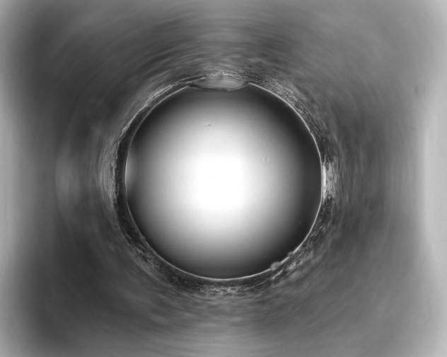 X0000096450291200801241424