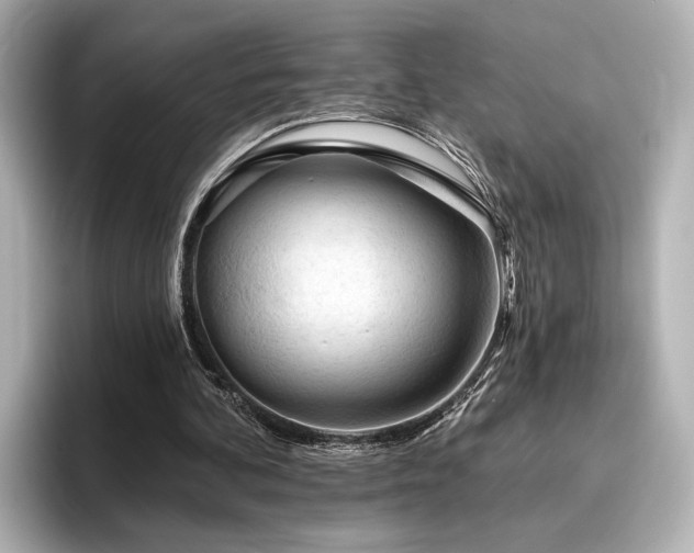 X0000096450292200801241424