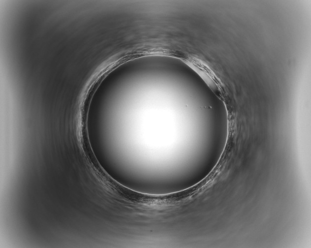 X0000096450293200801241424