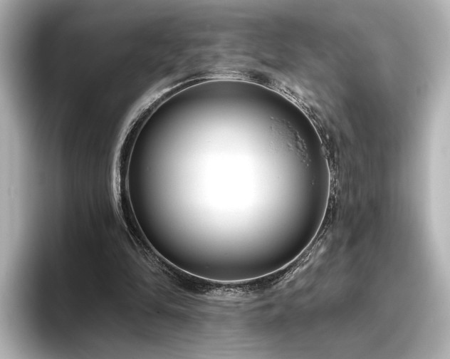 X0000096450294200801241424