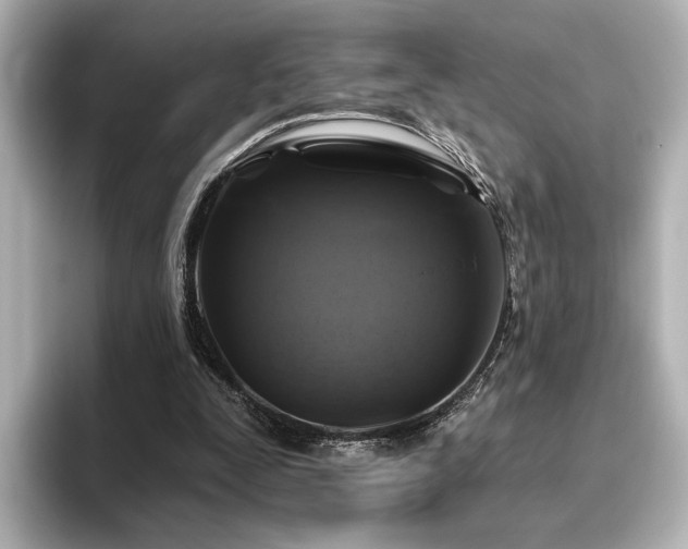 X0000096450295200801241424