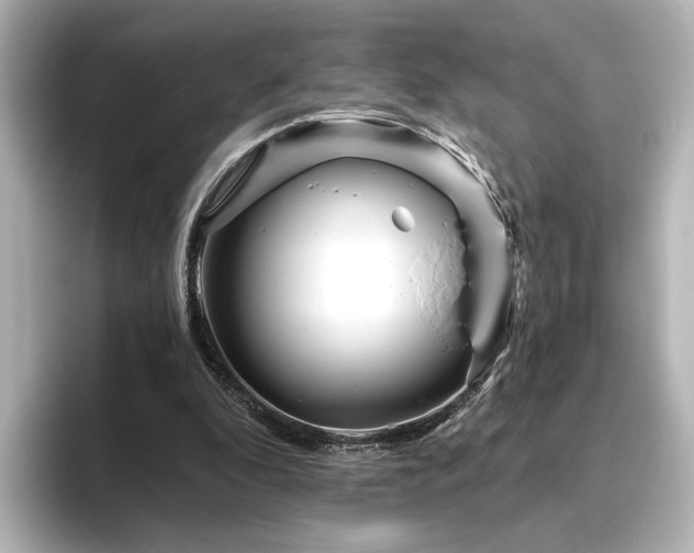 X0000096450296200801241424