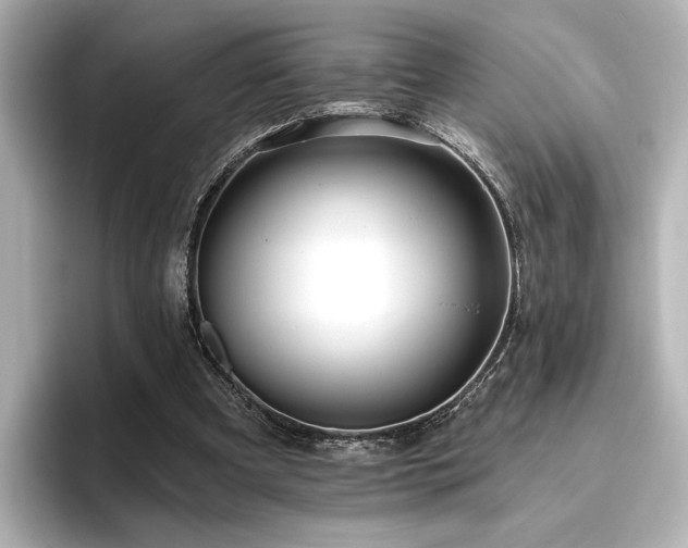 X0000096450297200801241424