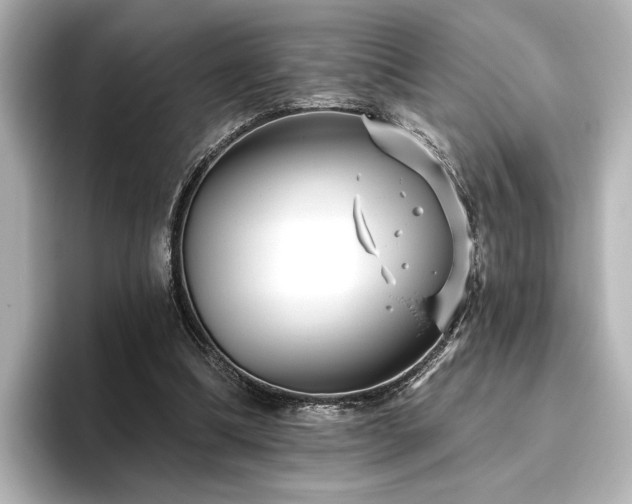 X0000096450298200801241424