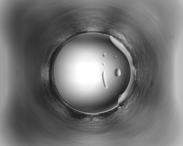 X0000096450299200801241424