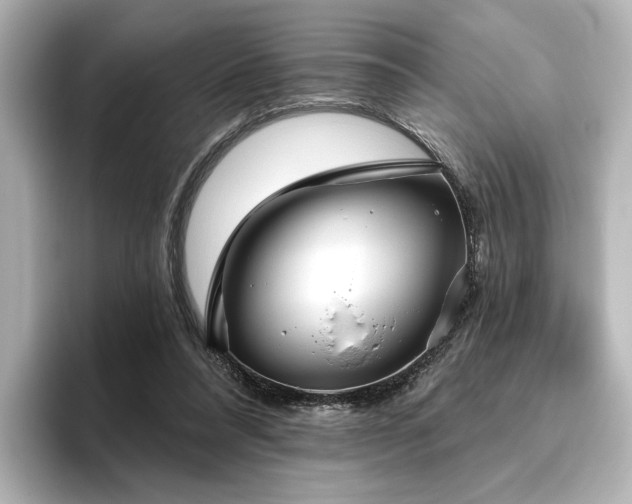 X0000096450304200801241424