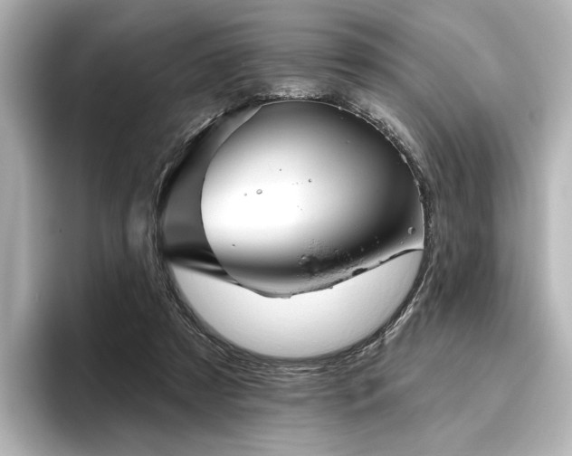 X0000096450305200801241424