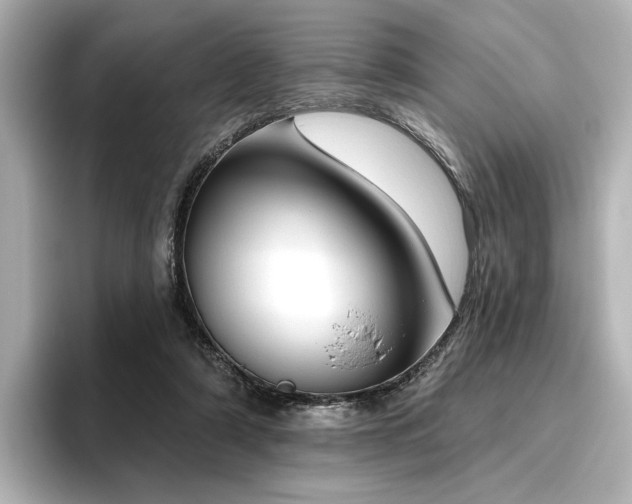 X0000096450306200801241424