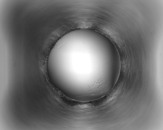 X0000096450307200801241424
