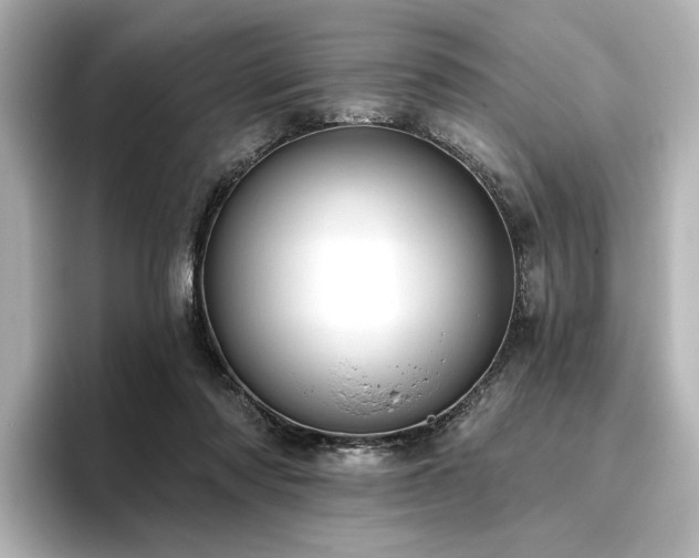 X0000096450310200801241424