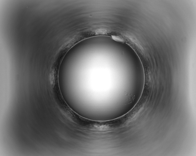 X0000096450311200801241424