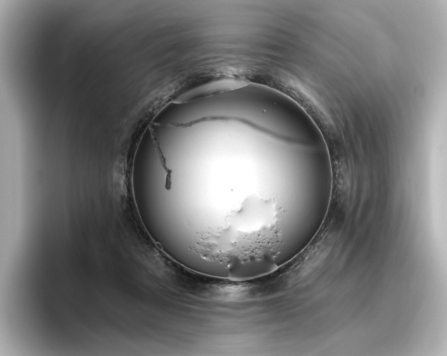 X0000096450313200801241424