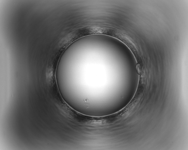X0000096450314200801241424