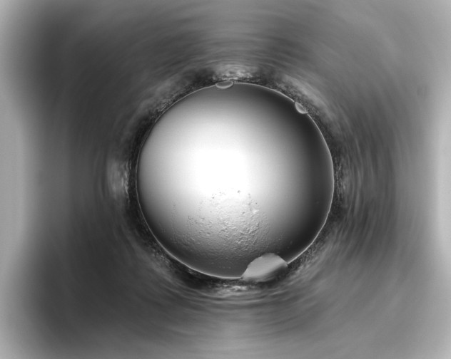 X0000096450315200801241424