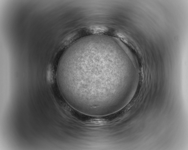 X0000096450316200801241424