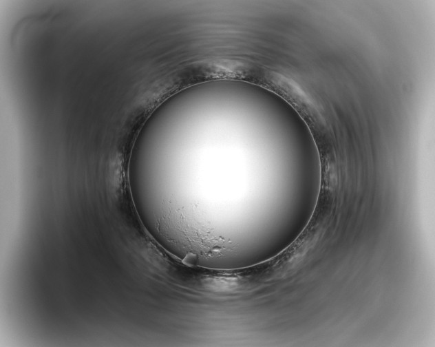 X0000096450318200801241424