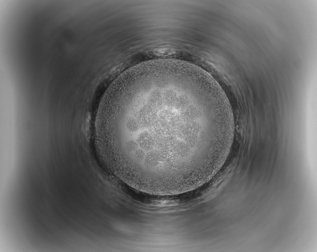 X0000096450319200801241424