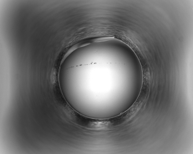 X0000096450323200801241424