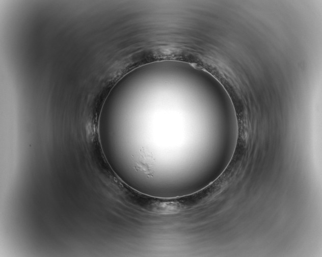 X0000096450324200801241424