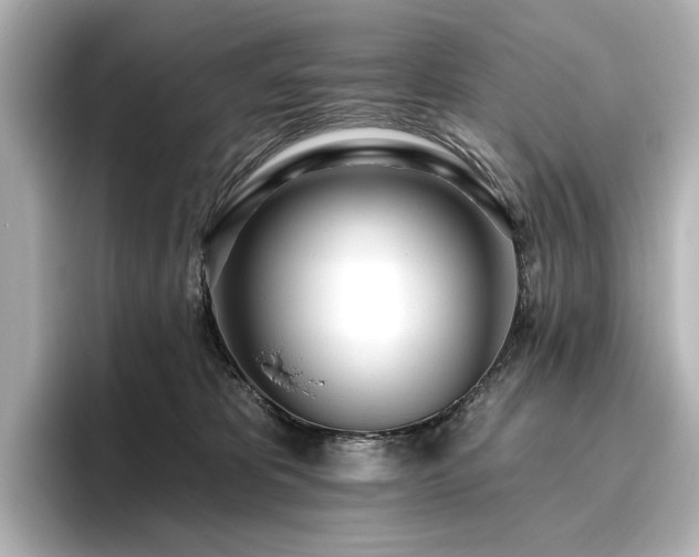 X0000096450325200801241424