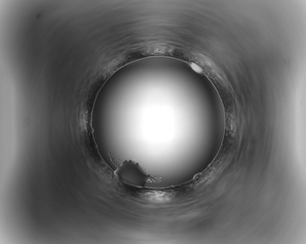X0000096450326200801241424