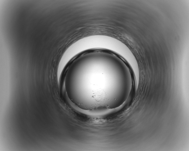 X0000096450327200801241424