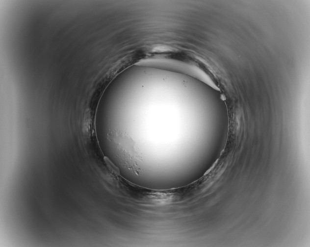 X0000096450328200801241424
