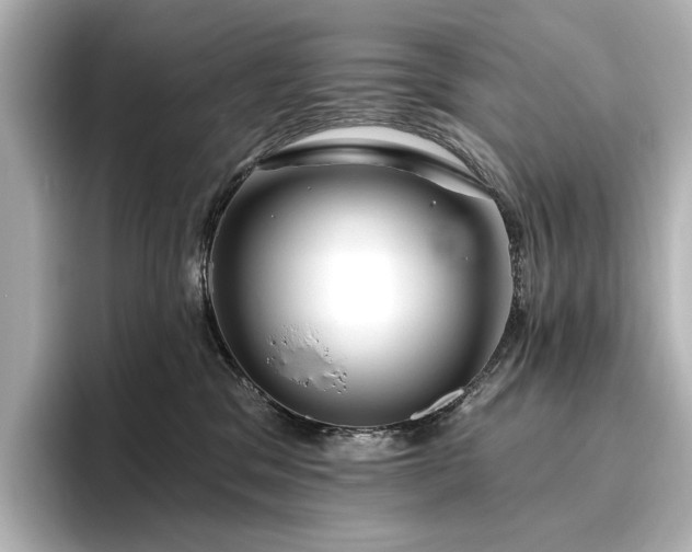 X0000096450329200801241424