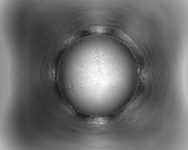 X0000096450330200801241424